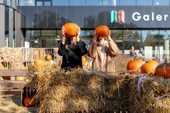 Farma Halloween przed Galerią Młociny