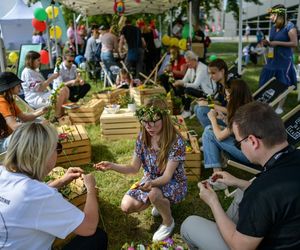 Witaj Lato na Bielanach! Wielkie gwiazdy wystąpią na dzielnicowym pikniku