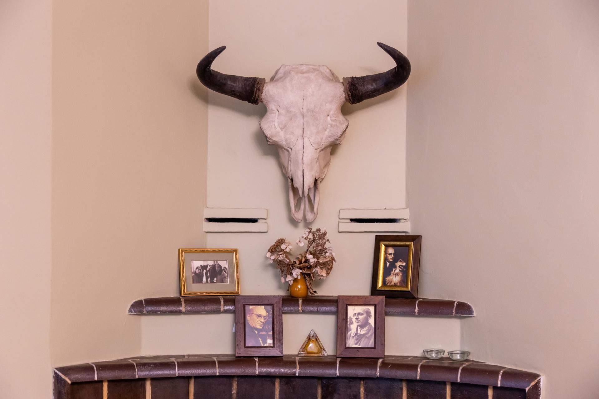 Willa Żabińskich w warszawskim ZOO czyli willa Pod Zwariowaną Gwiazdą