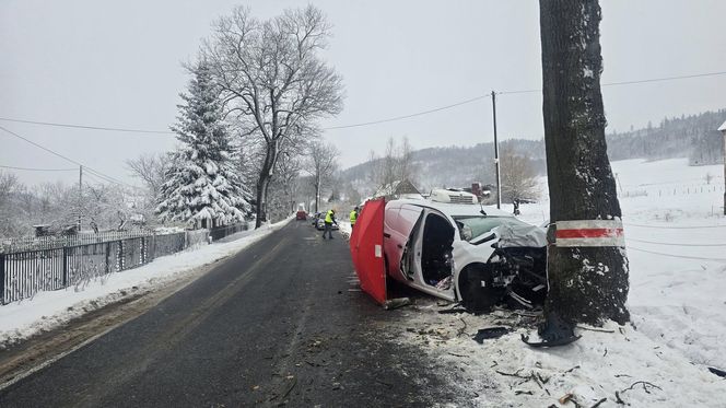 Koszmar na drodze koło Jawora. Kierowca dostawczaka z impetem uderzył w drzewo 