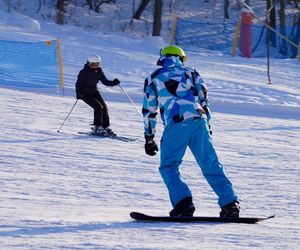 Narty, Snowboard