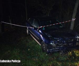 Lubuskie: Kompletnie pijany kierowca przewoził trójkę dzieci i spowodował wypadek