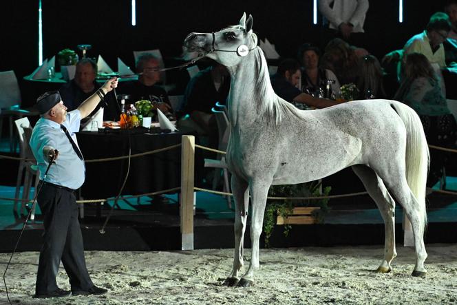 Porażka Pride of Poland 2024? Zyski są zdecydowanie niższe niż rok temu