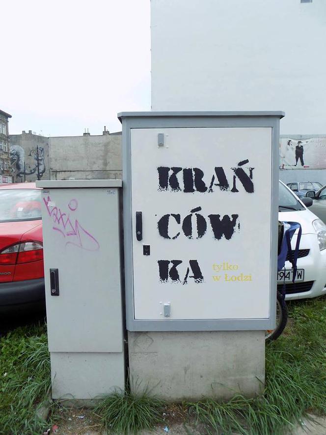 8 Skrzynki elektryczne w Łodzi z jajem