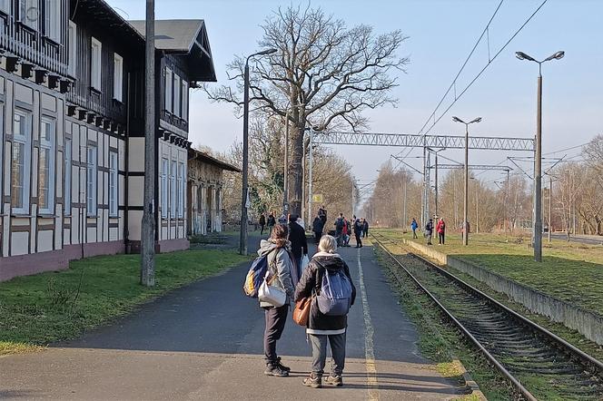 Zabytkowy pociąg w Ciechocinku