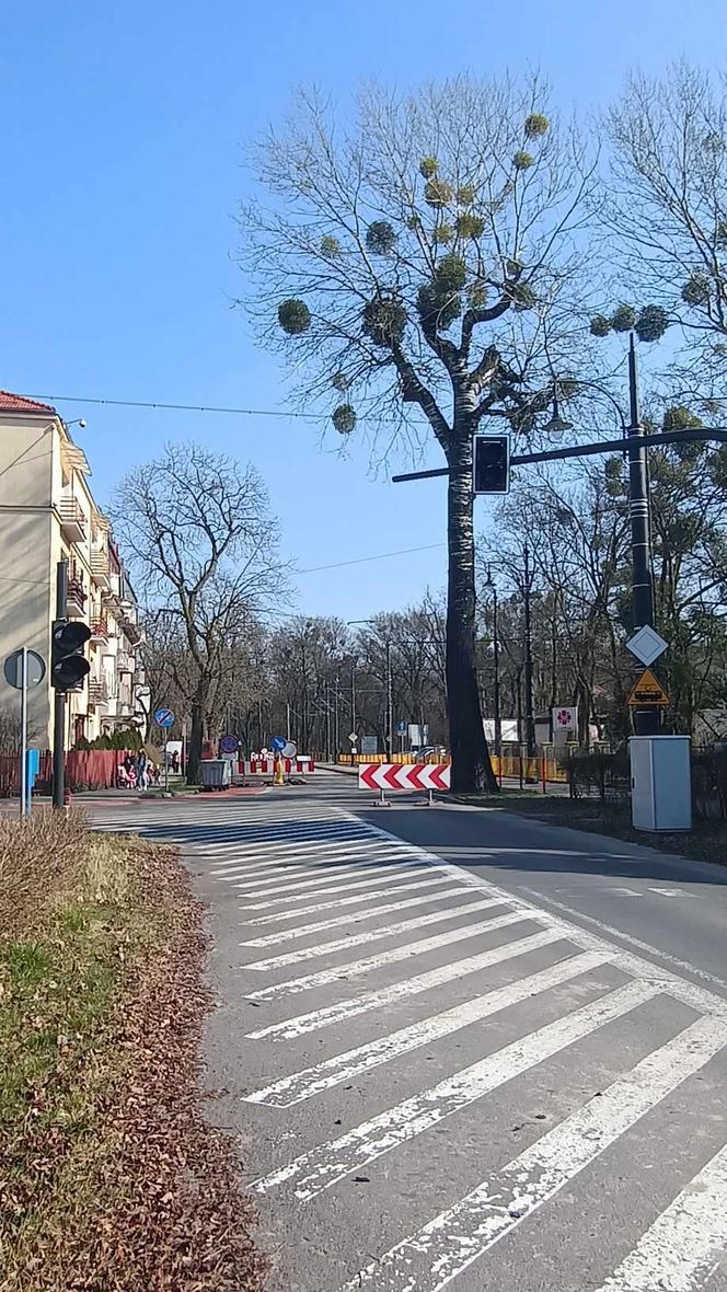 Remont ulicy Bydgoskiej w Toruniu