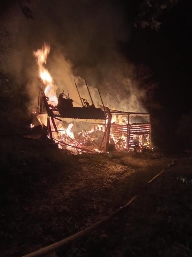 Straszny pożar w Łomnicy-Zdroju. Zginęły zwierzęta