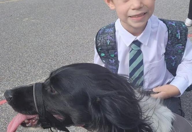 Ten pies uratował 7-latka. Szczekaniem zasygnalizował stan zagrażający życiu chłopca