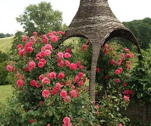 Arboretum Wojsławice - zdjęcia. Kiedy jechać?