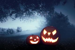 Mgła spowija całą Polskę! Makabryczne Halloween dla kierowców! IMGW bije na alarm