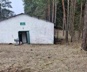 Harcerze zbierają środki na remont bazy w Stańczykach. Tak wygląda baza