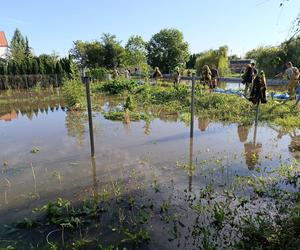 Zamość. Potężna ulewa sparaliżowała miasto. Rekordowe opady. Ulice jak rwące potoki