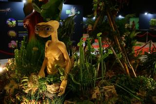 Potworne cuda, czyli wystawa roślin mięsożernych w Katowicach