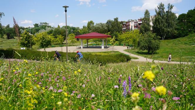 Lublin. „Filary porośnięte bluszczem” i nie tylko. Park Jana Pawła II w lipcowej odsłonie