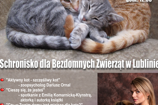 Lublin - Światowy Dzień Kota i Dzień Otwarty w Schronisku