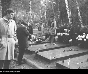 Cmentarze Powązkowskie - 1946-1963