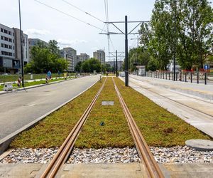 Tramwaj na Stegny w Warszawie