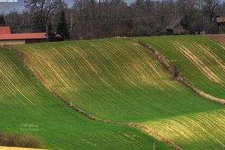 Tatry widziane z Ponidzia. Zobacz piękne zdjęcia kieleckiego fotografa