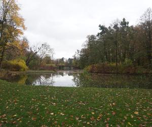 Park Sołacki w Poznaniu jesienią