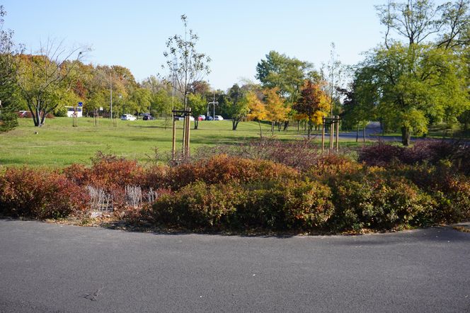 Park im. św. Jana Pawła II w jesiennych barwach