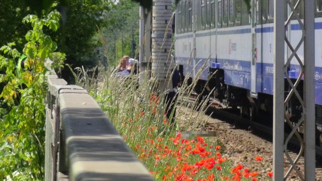 Tragedia na moście Gdańskim! Pieszy wpadł pod pociąg, nie było szans na ratunek