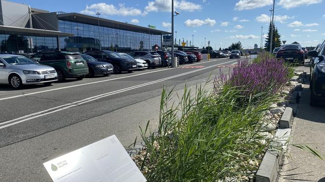 Zazieleniony teren parkingu i pasażu przed terminalami Katowice Airport