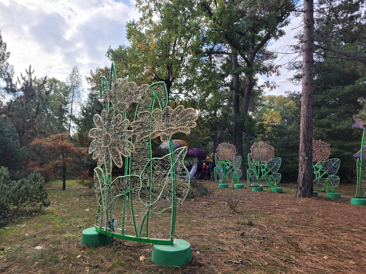 Poznański park iluminacji niemal gotowy! Jak wygląda Magiczny Las?