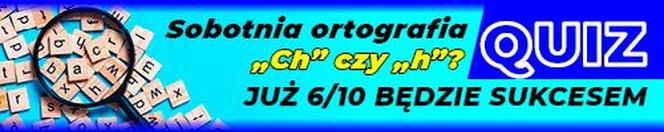 Quiz na sobotę - ortografia