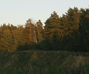 Wyjątkowa atrakcja turystyczna niedaleko małej wsi w woj. lubelskim