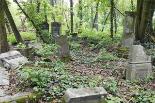 Cmentarz żydowski w Częstochowie