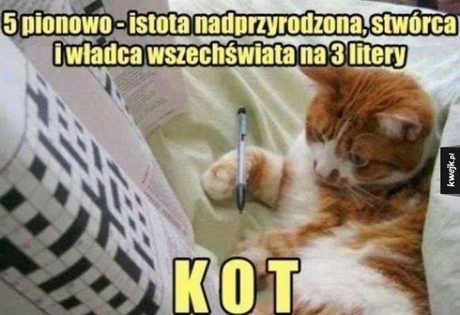 Chcesz poprawić sobie humor? Te memy ze zwierzętami rozbawią cię do łez!