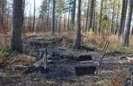 Biedaszyby w lasach na terenie Nadleśnictwa Wałbrzych