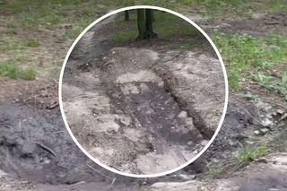 Młodzież zrobiła sobie tor przeszkód w zabytkowym parku