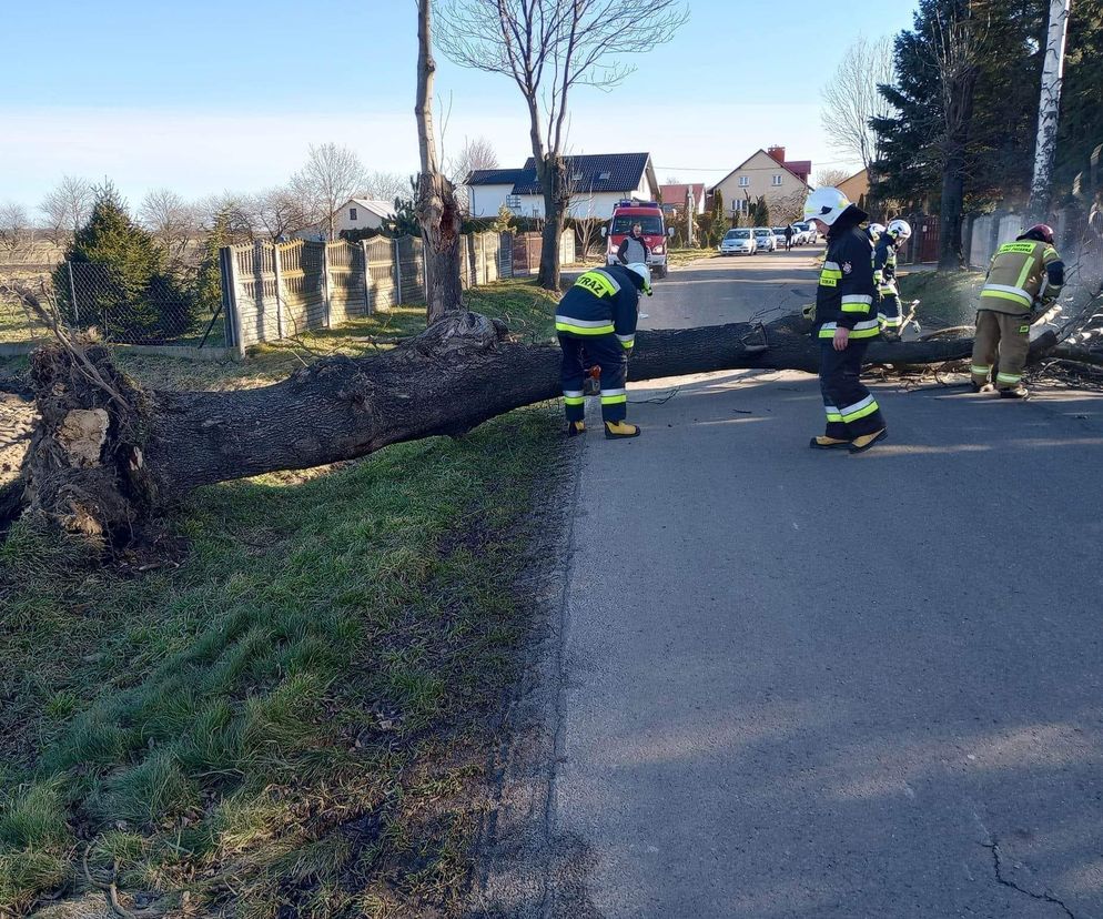 Ostrzeżenie przed wiatrem. Czerwony alarm meteo. W tym regionie będzie najgorzej