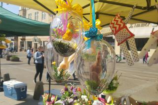 W niedzielę centrum Bydgoszczy tętniło życiem