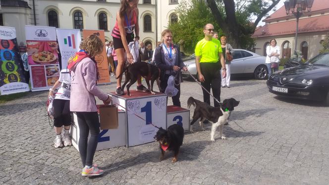 Bieg na dwie nogi, cztery łapy i ogon. W Żywcu po raz drugi pobiegli po coolturę