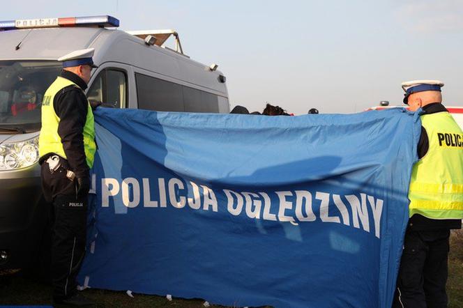 Poznań: Makabryczny wypadek na obwodnicy. Śmierć na S11