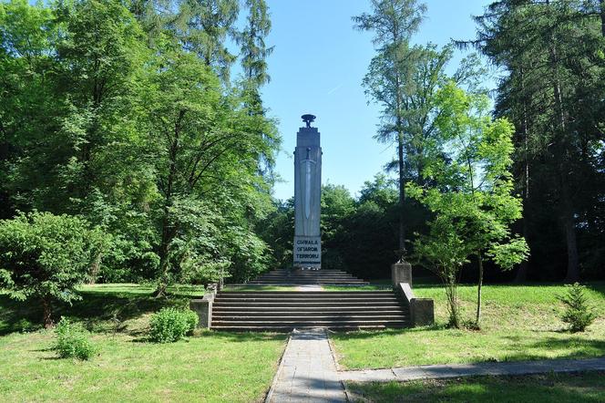 Las Buczyna w Zbylitowskiej Górze. To największy cmentarz ofiar Holocaustu w Polsce