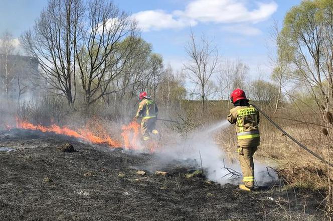 Białystok: Paliły się suche trawy. Strażacy: Za wypalanie traw grozi 5 tys. zł grzywny