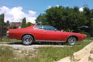 Kolekcja Darka Lemańskiego