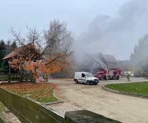 Strażacy z Leszna podsumowali 2024 rok. W Wielkopolsce zdarzeń dużo więcej, w Lesznie mniej