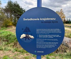 Serenity Park w Mysłowicach to nowe miejsce wypoczynku na Śląsku