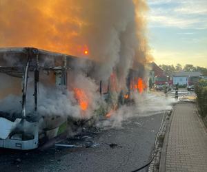 Pod Szczecinem spłonął niemiecki autobus