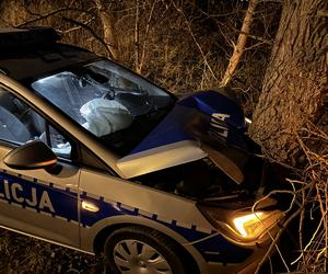 Policjanci, którzy rozbili radiowóz na drzewie, usłyszeli zarzuty! Posłanki interweniują w Komendzie Stołecznej Policji 