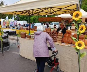 Stoiska wystawców podczas Jarmarku św. Stanisława można odwiedzać w godz. 10.00-18.00 w dn. 10 i 11 maja