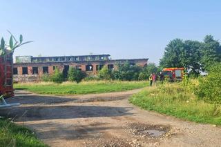 Groźne znalezisko w opuszczonej hitlerowskiej radiostacji w Stanisławowie