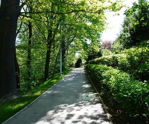 Tak wygląda park w dolinie Ślepiotki w Katowicach