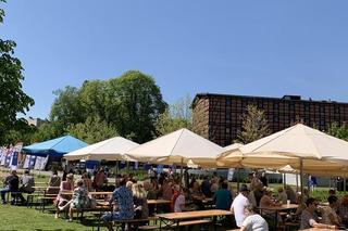 Bydgoszczanie bawią się na pikniku europejskim na Wyspie Młyńskiej