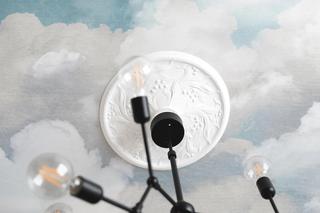 Tapety na sufit: Rebel Walls