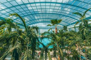 Wrzuć na luz pod palmami i wygraj tropikalny relaks w Suntago!